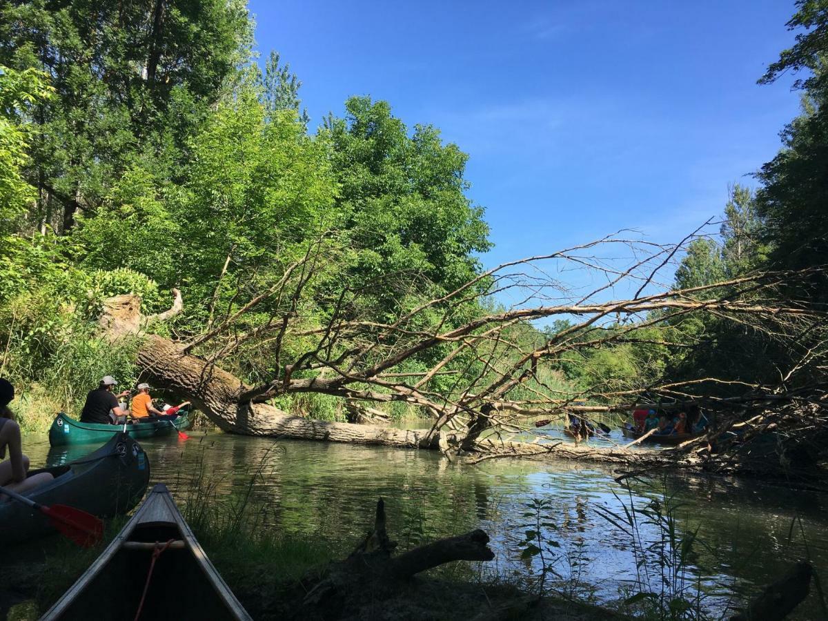 Donaupark Camping Tulln 툴른 외부 사진