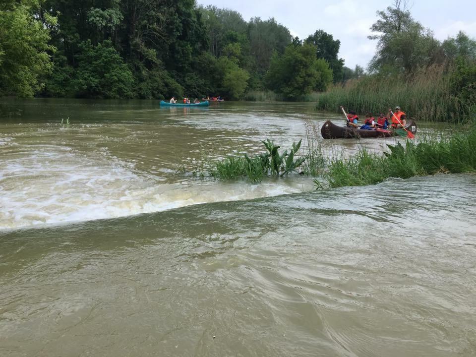 Donaupark Camping Tulln 툴른 외부 사진